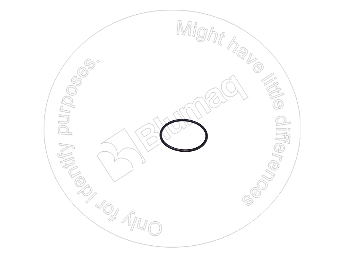 723-11-19110 Seal O-ring for BLUMAQ