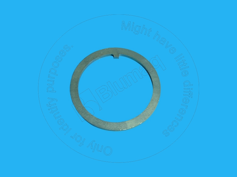 6Y-1114 Washer for BLUMAQ