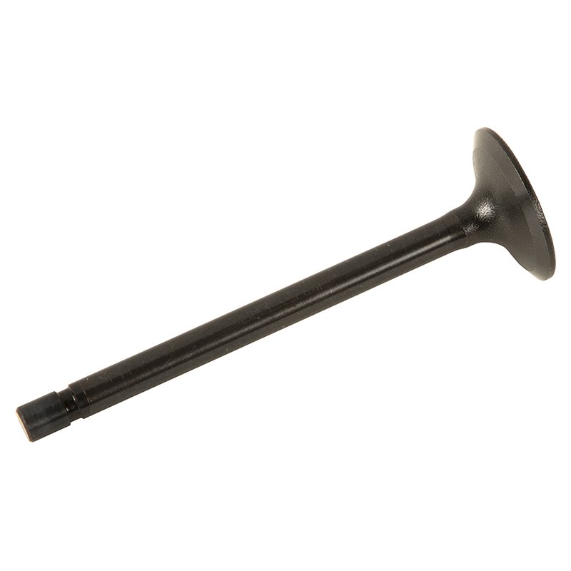 61C010-1311 Intake Valve for RELIANCE POWER