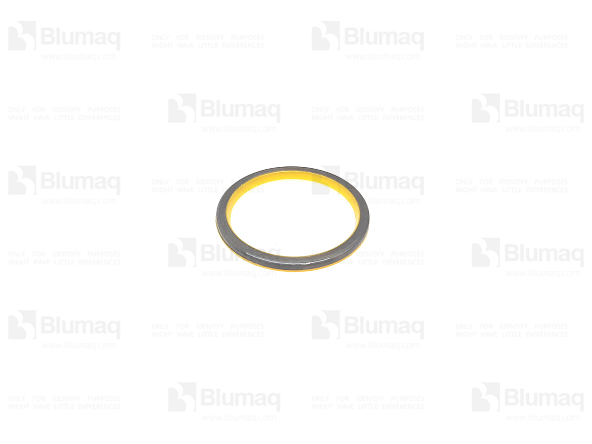 CSBN302044 Seal