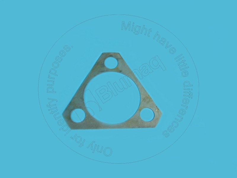 CS83946010 Shim