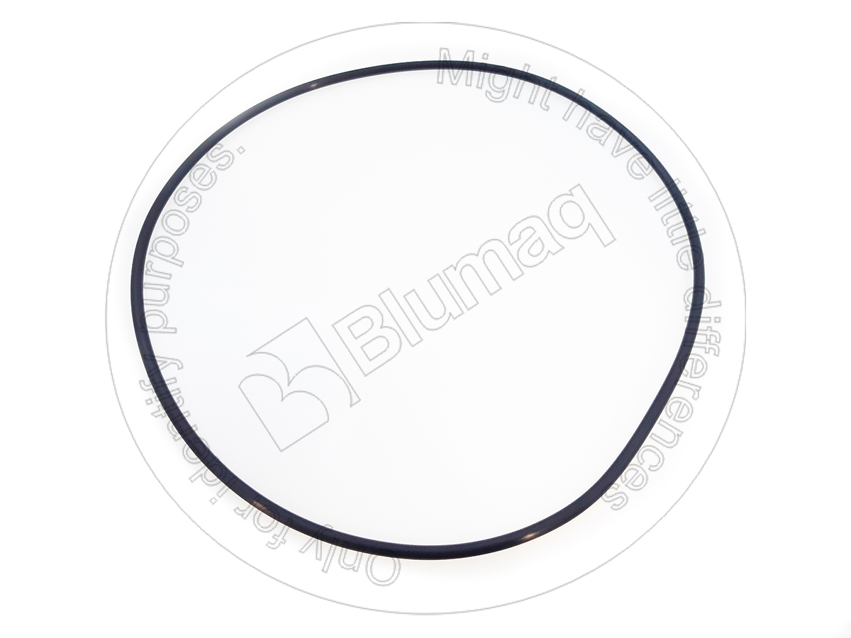 900.01530 Seal O-ring for BLUMAQ