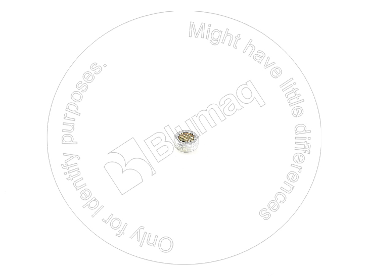 2P-8679 Strainer for BLUMAQ