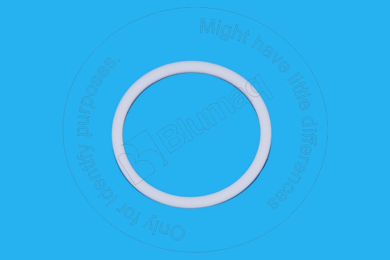 185-0348 Back-up Ring for BLUMAQ