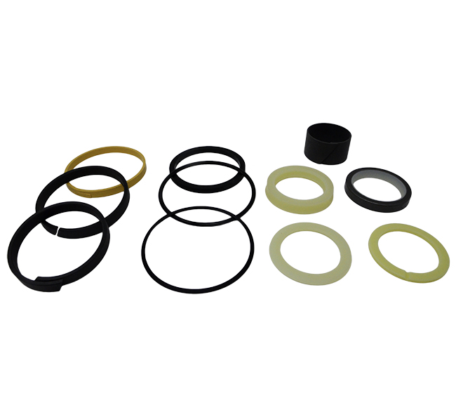 1543262C1 CASE Seal Kit