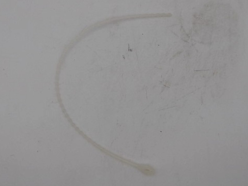 36200-77650 Band Cord