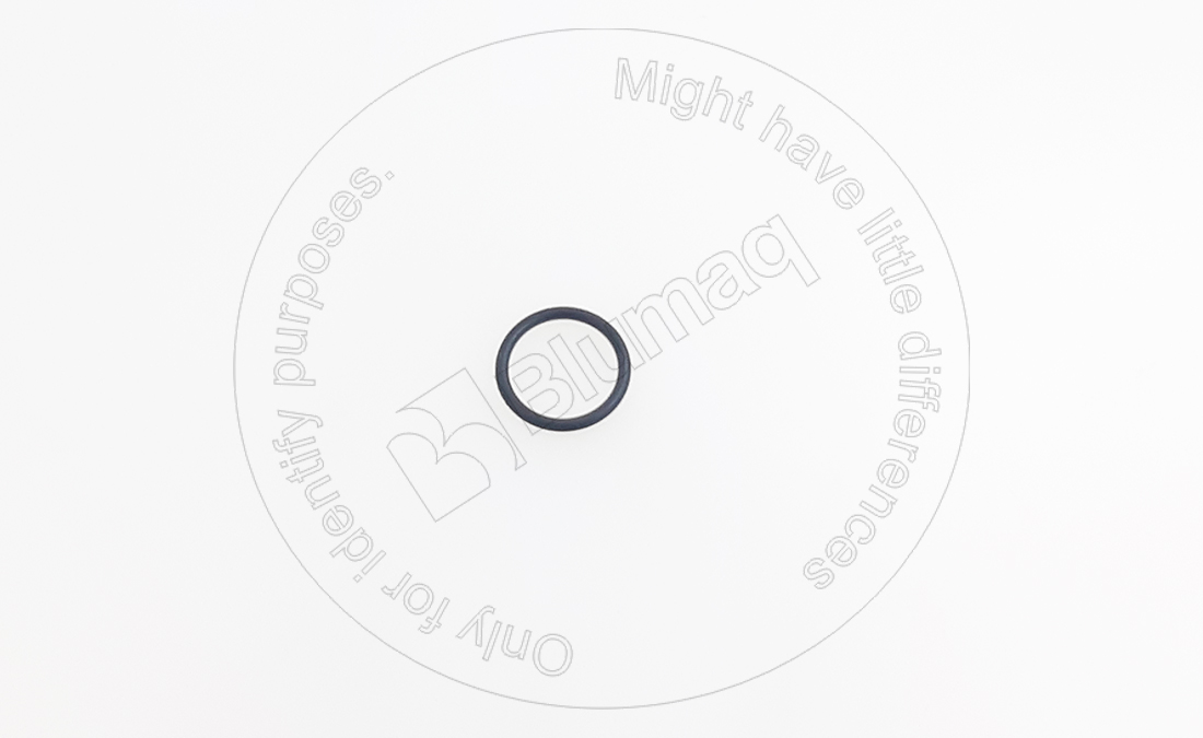 276-5603 Seal O-ring for BLUMAQ