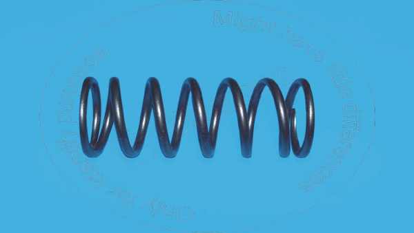 087-4762 Spring for BLUMAQ