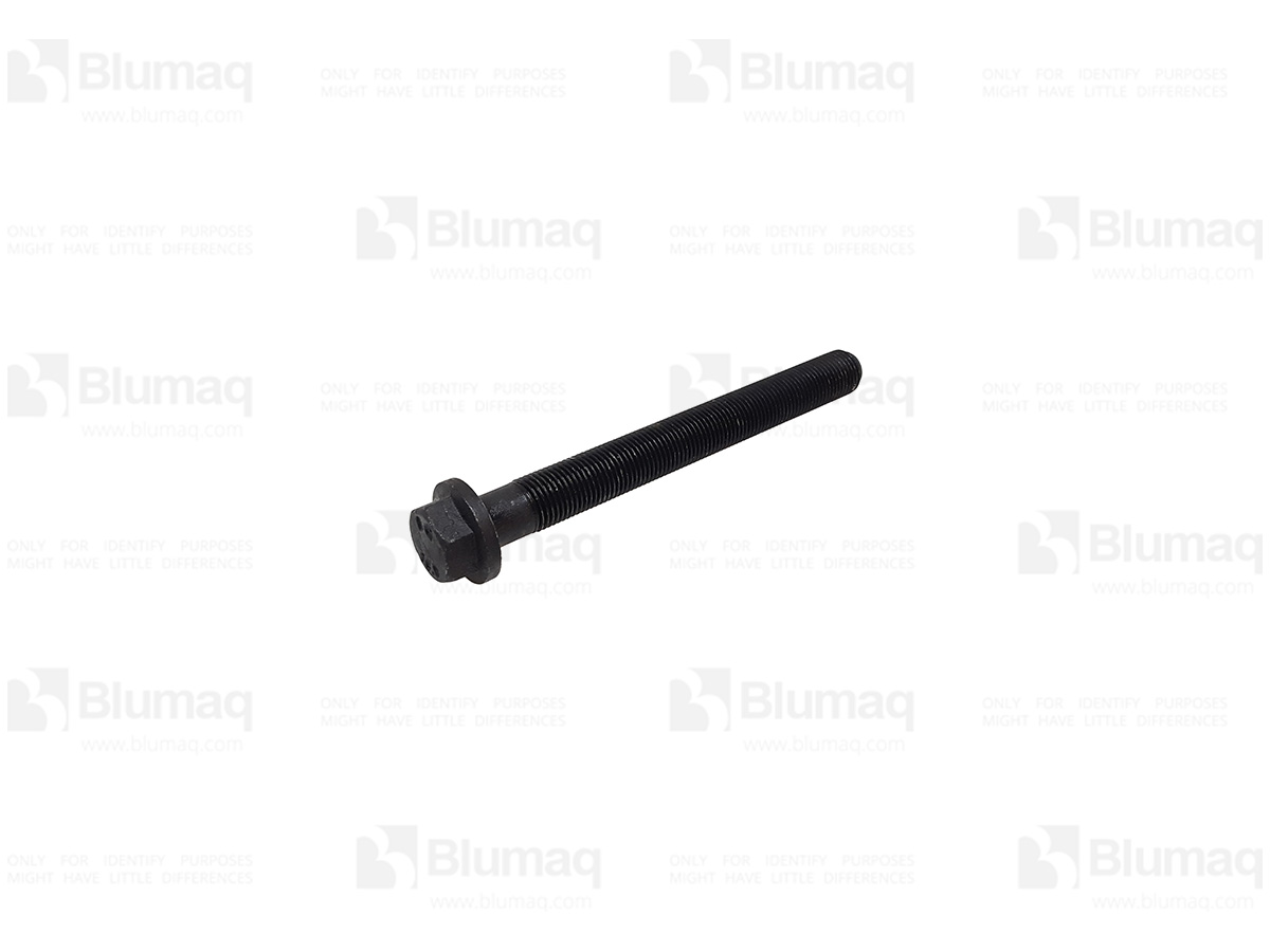 225-5501 Bolt for BLUMAQ