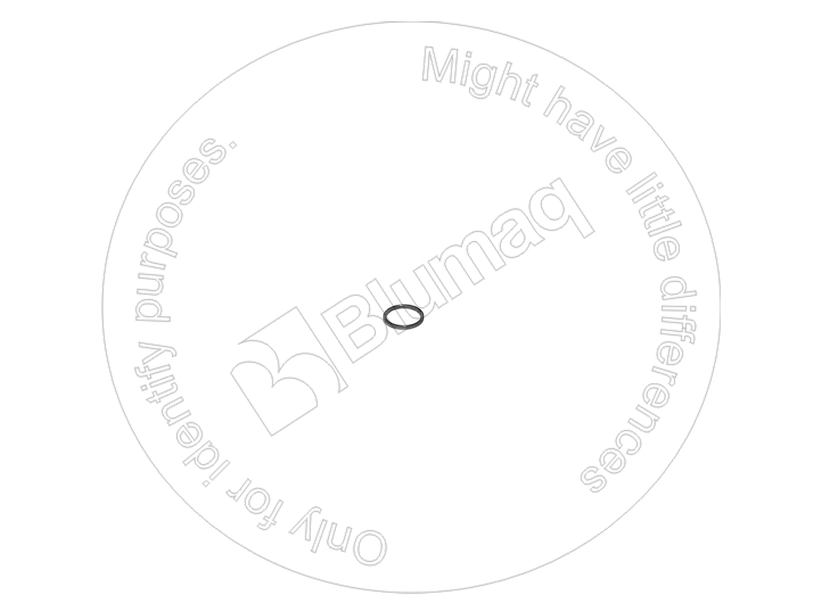 VOCH12A-117 Seal O-ring for BLUMAQ