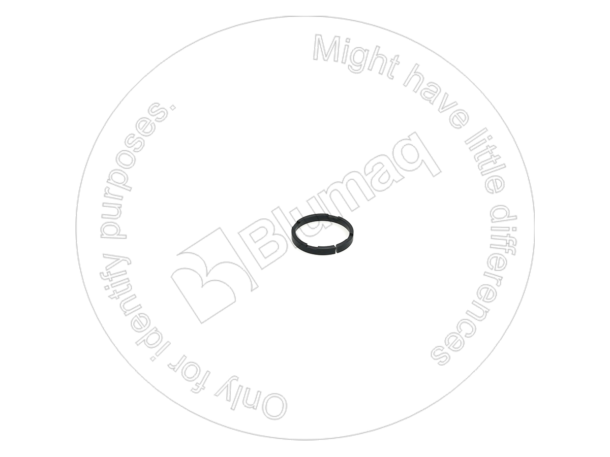 1948359 Ring-seal