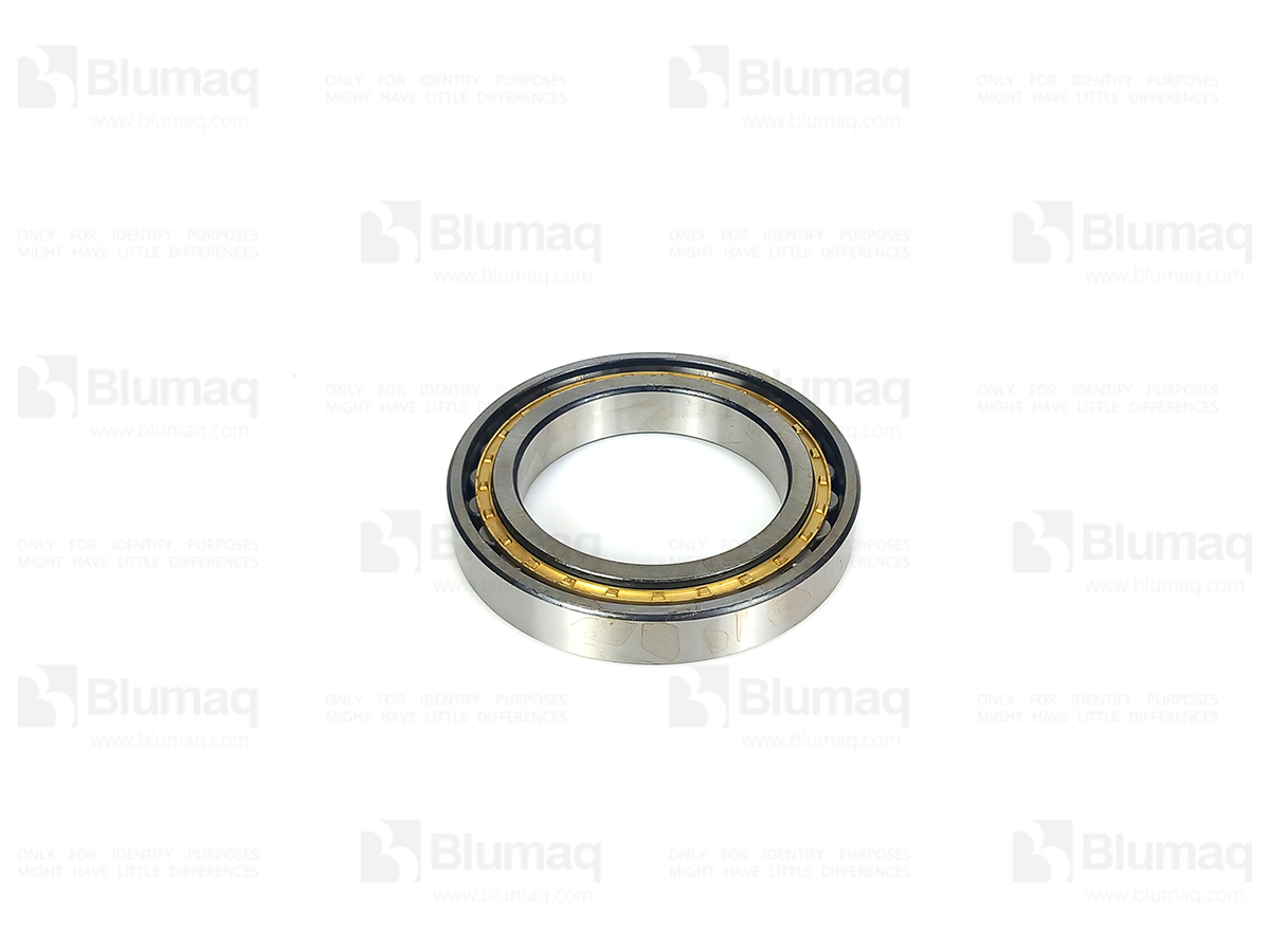 06032-01021 Roller Bearing for KOMATSU