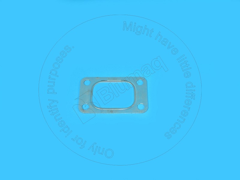900.03202 Gasket for BLUMAQ
