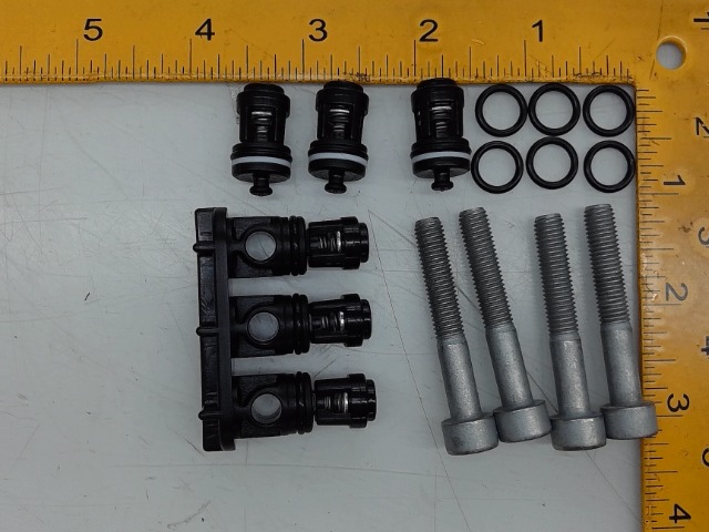 BS200298GS Check Valve Kit