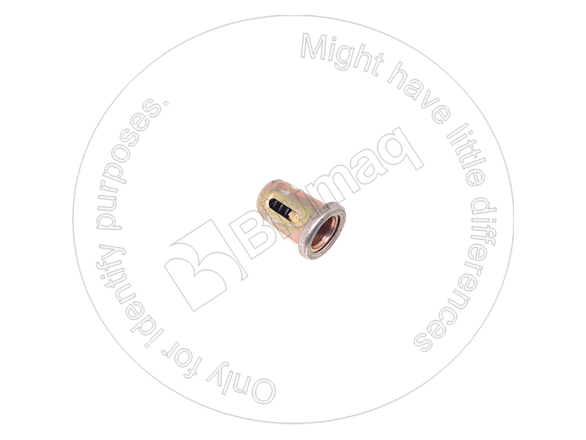 EA4896410 Valve