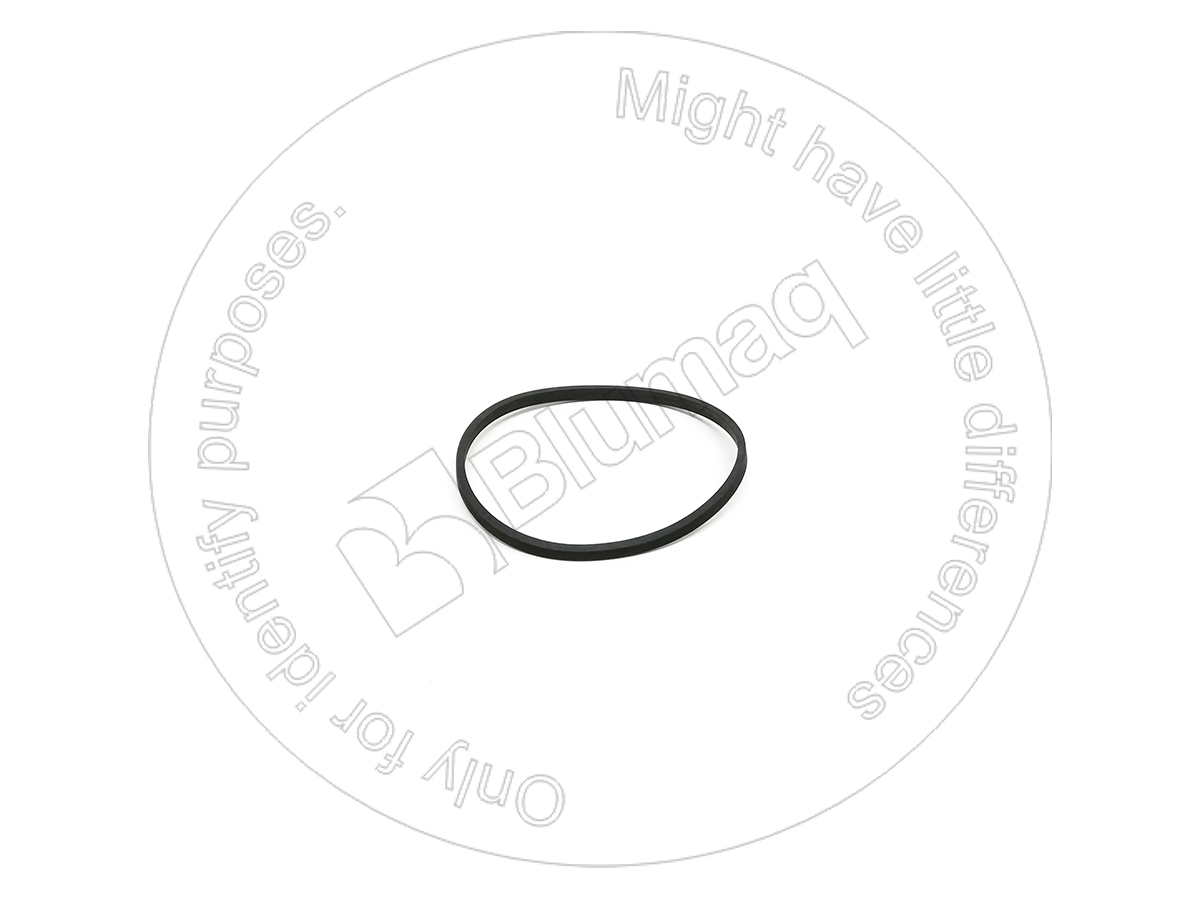 220-3373 Seal Ring for BLUMAQ