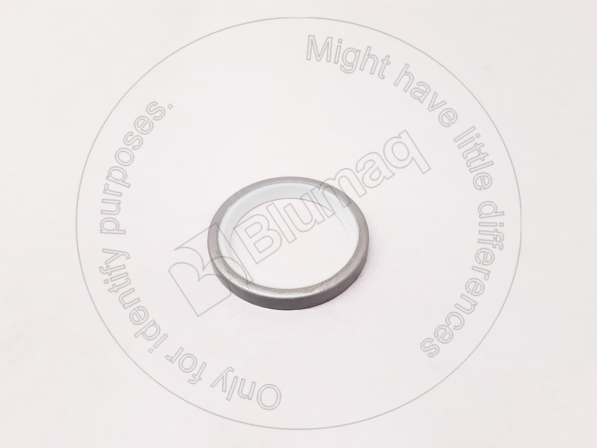 433-7105 Seal for BLUMAQ