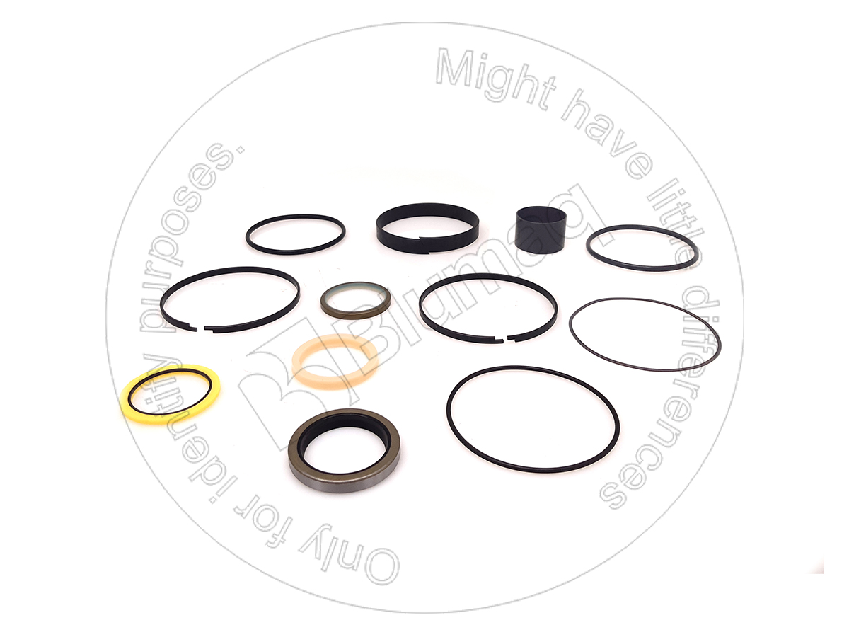 G110583 Hydraulic Seal Kit