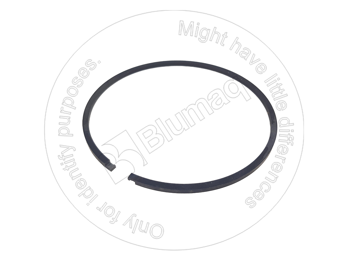 1T-0310 Segment for BLUMAQ