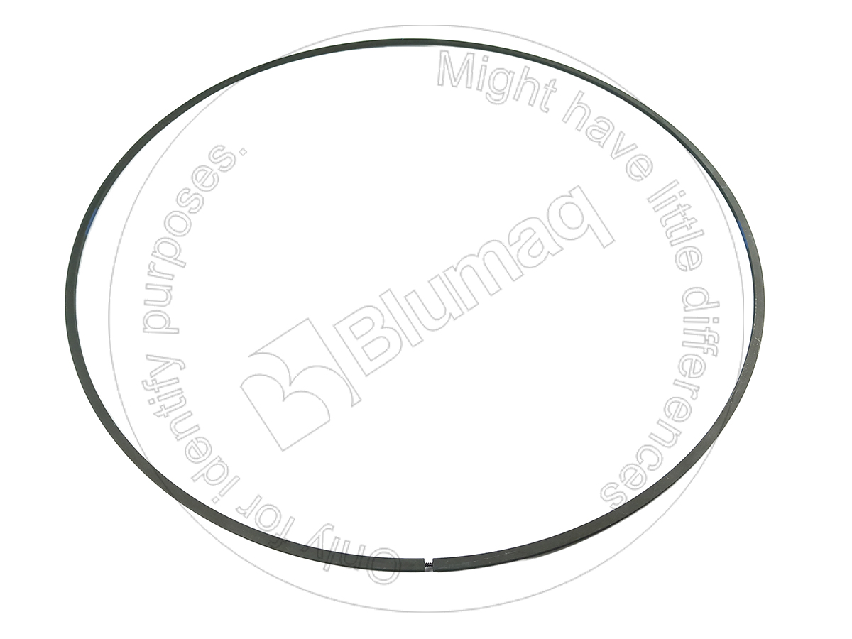 1S-5560 Seal Ring for BLUMAQ