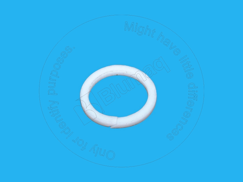 6E-6419 Back-up Ring