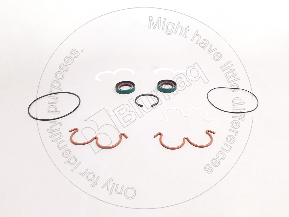 9J-4729 Seal Kit for BLUMAQ