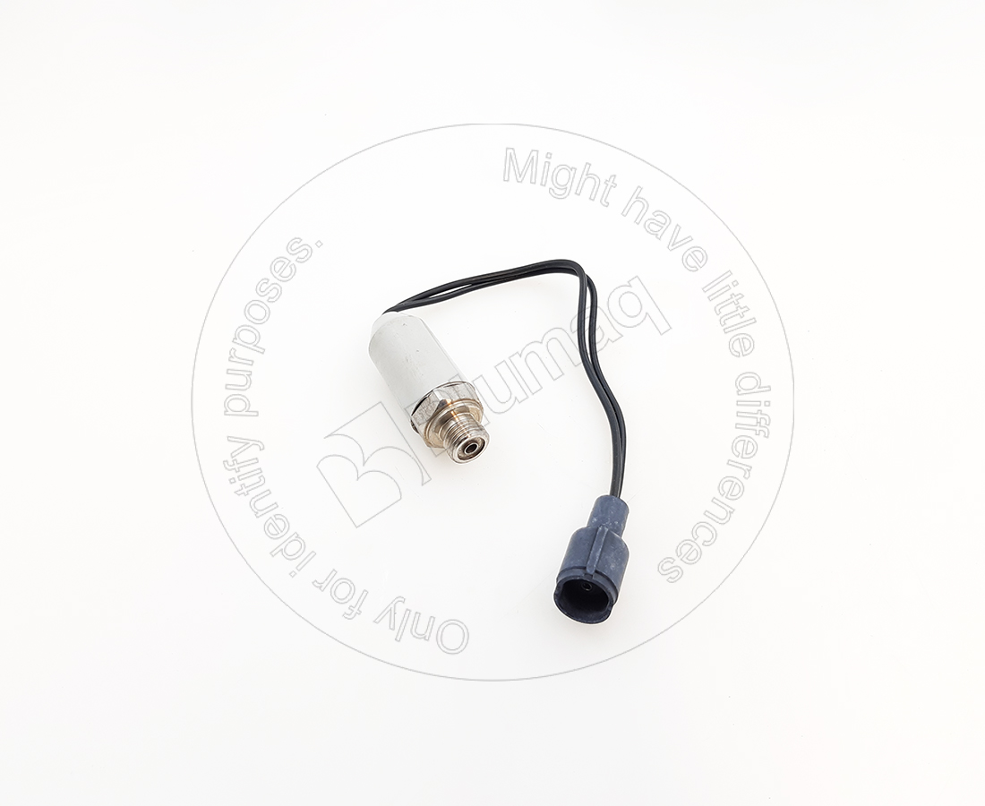 174-4058 Switch for BLUMAQ