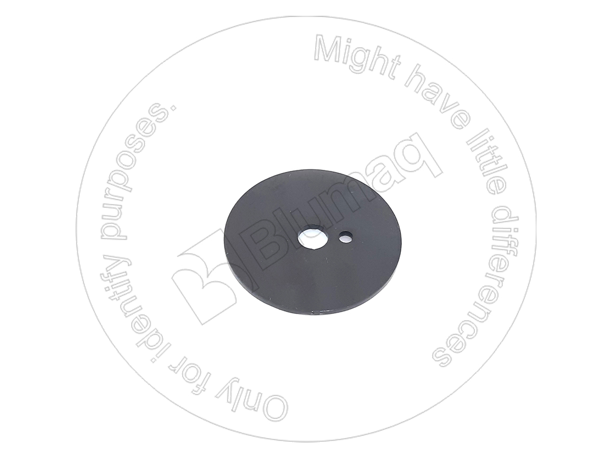 CA0644650 Thrust Washer