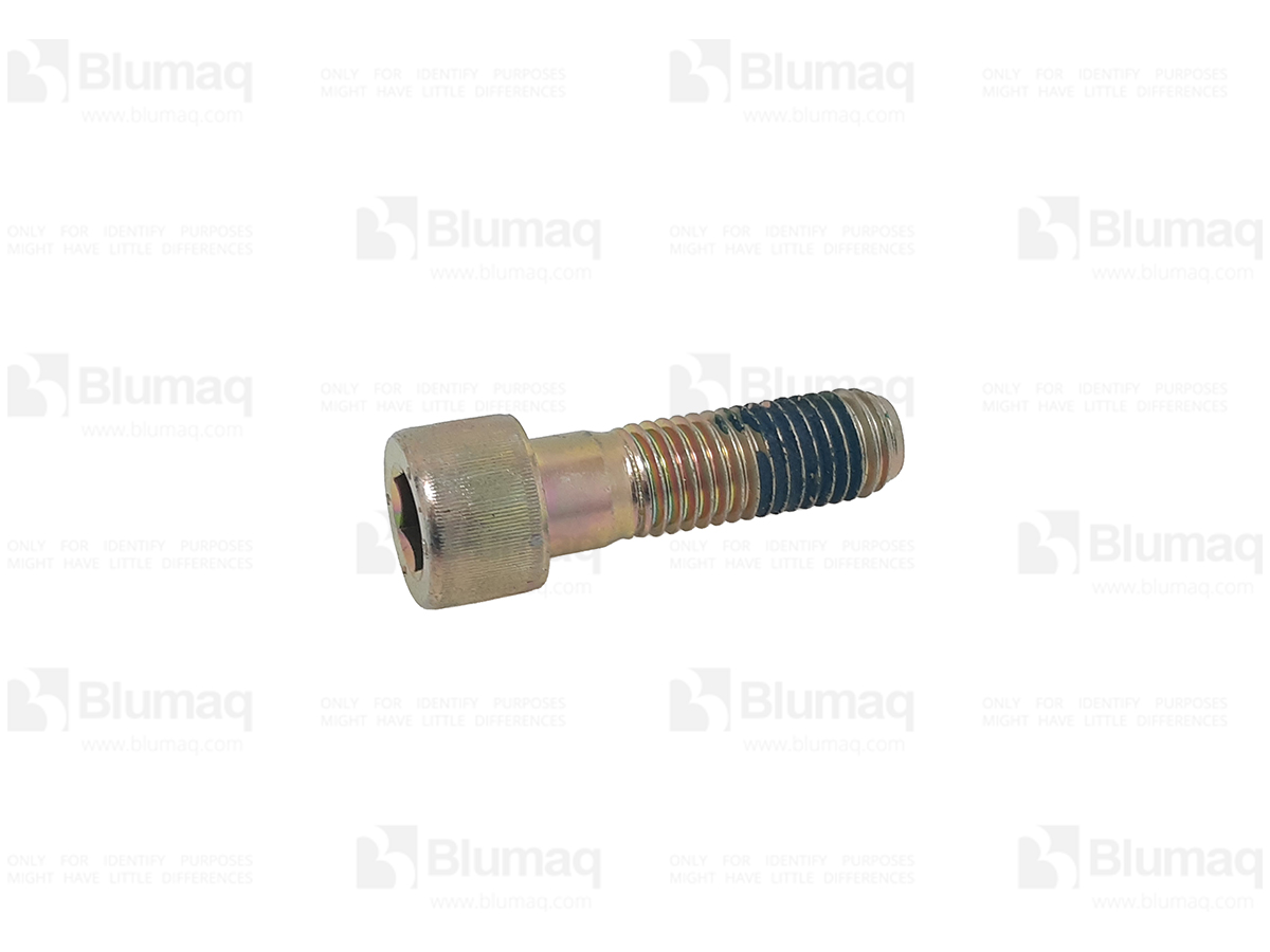 HI4216948 Allen Bolt for BLUMAQ