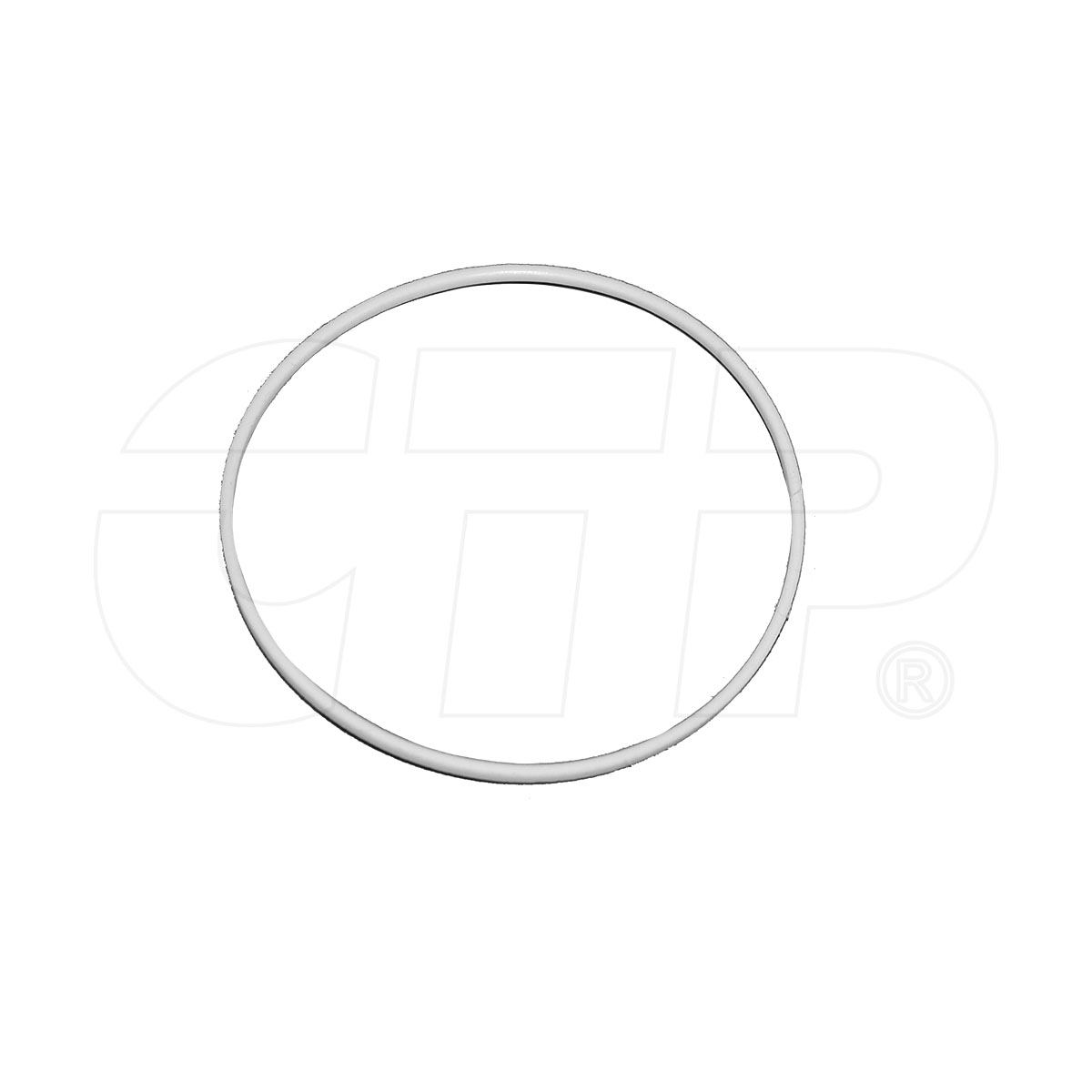 2P4534 Ring Seal