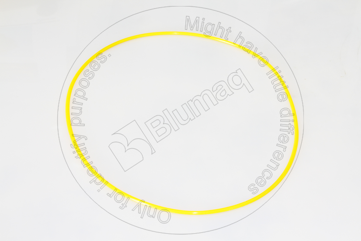146-7312 Seal O-ring for BLUMAQ