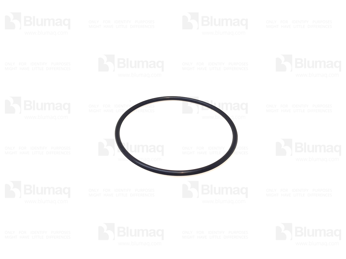 068350 Seal O-ring
