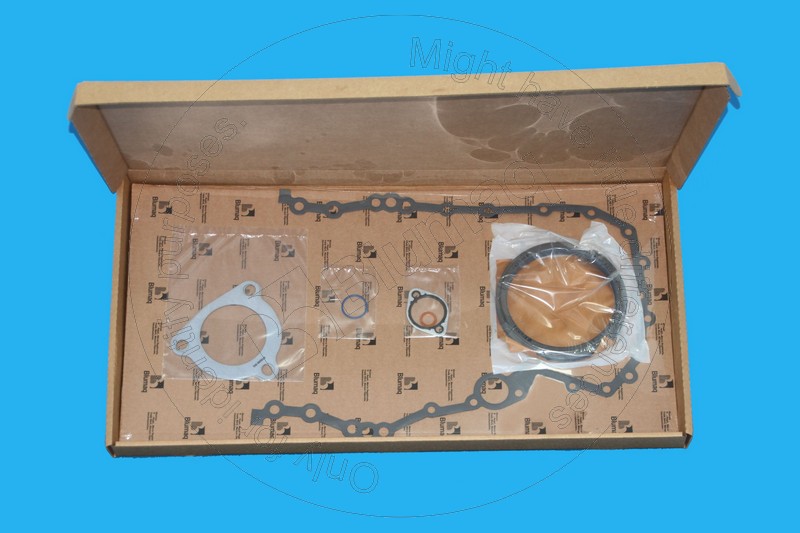 422-0925 Gasket Kit for BLUMAQ