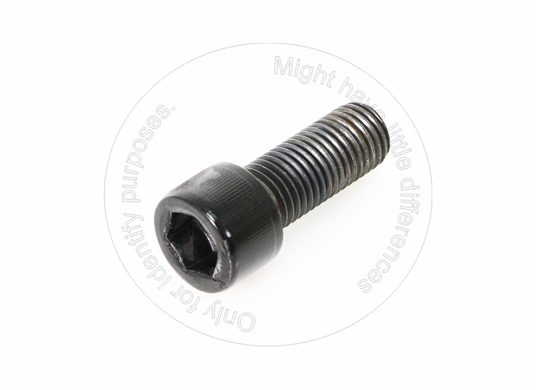 095-0709 Allen Bolt for BLUMAQ