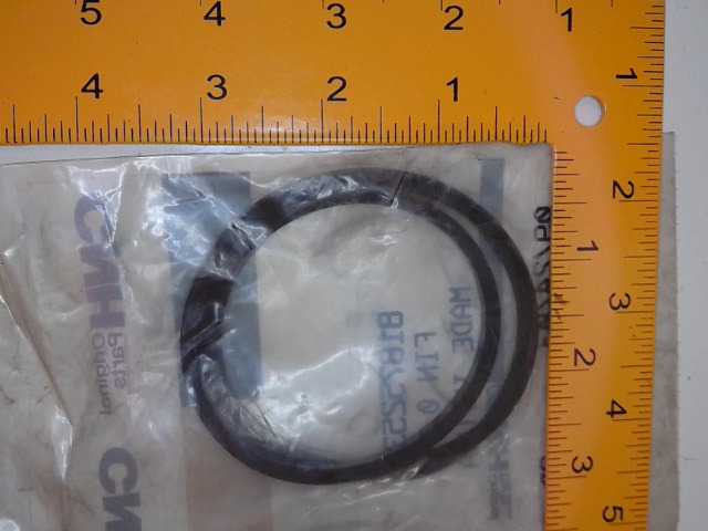 81875253 CASE Seal D Ring