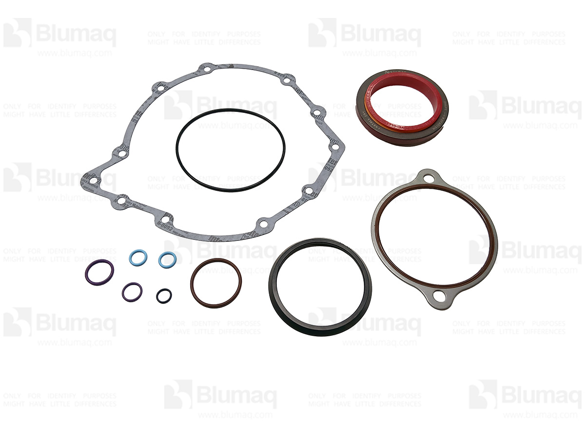 455-1697 Gasket Kit for BLUMAQ