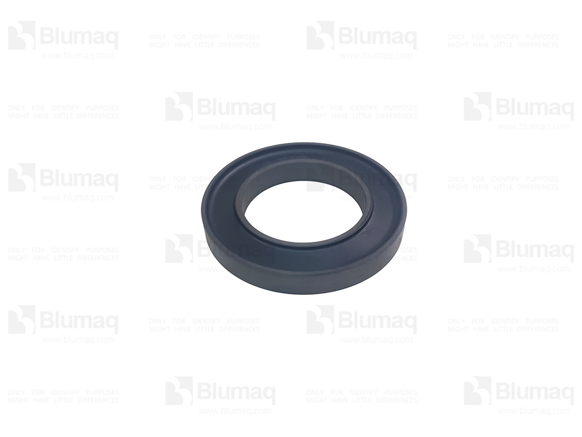 6P-8369 Seal for BLUMAQ
