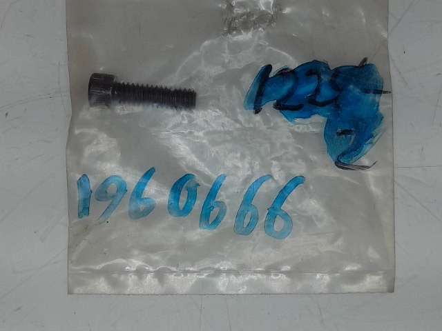1960666 Bolt for AGCO