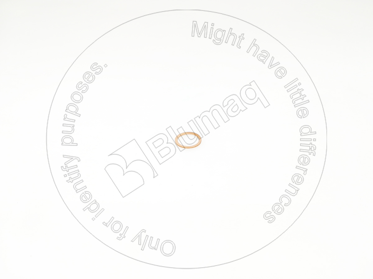 2A1913 Gasket