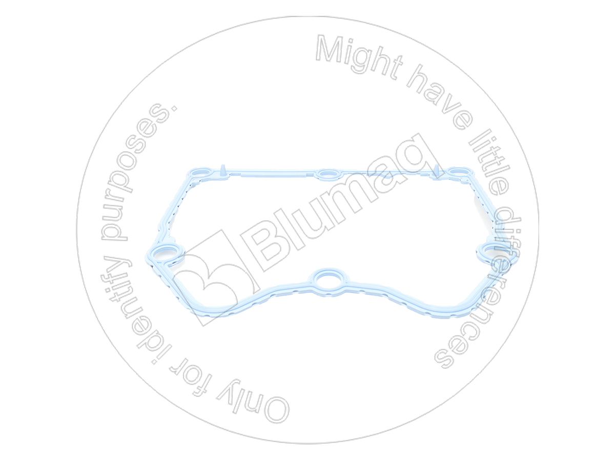 224-7506 Seal for BLUMAQ