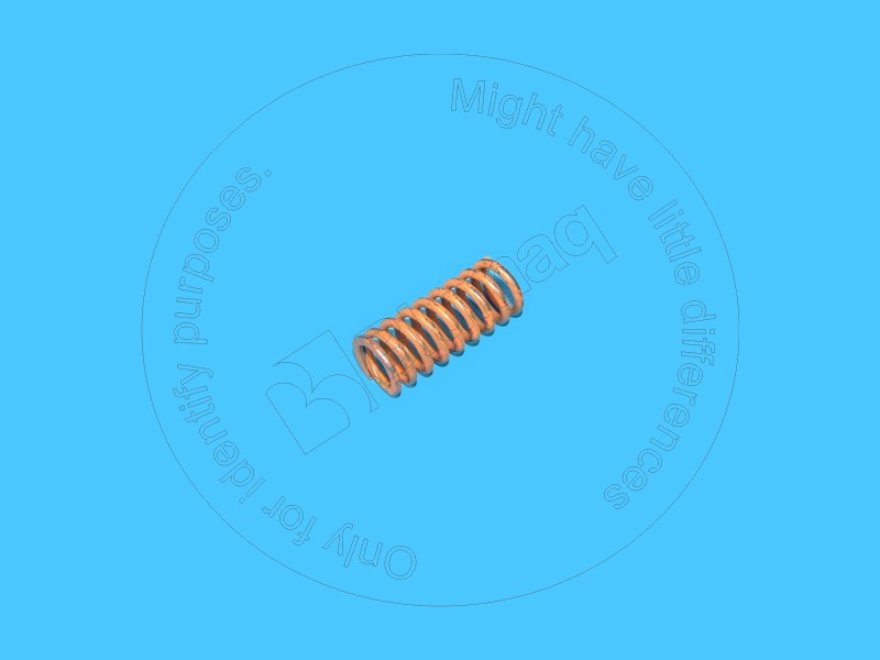 CS73143289 Spring