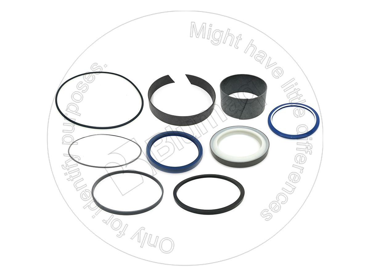 529311 BLUMAQ Hydraulic Seal Kit