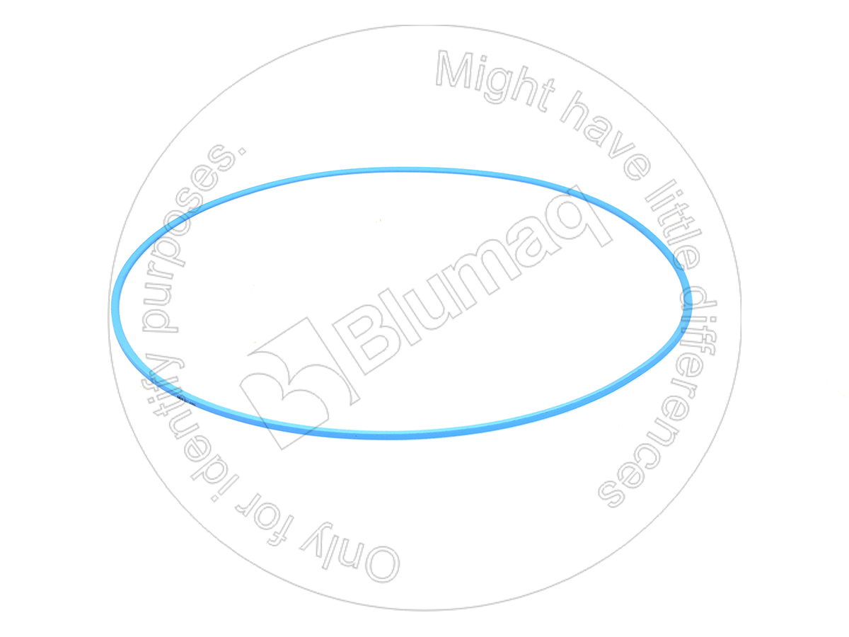 327-3965 Seal D Ring for BLUMAQ