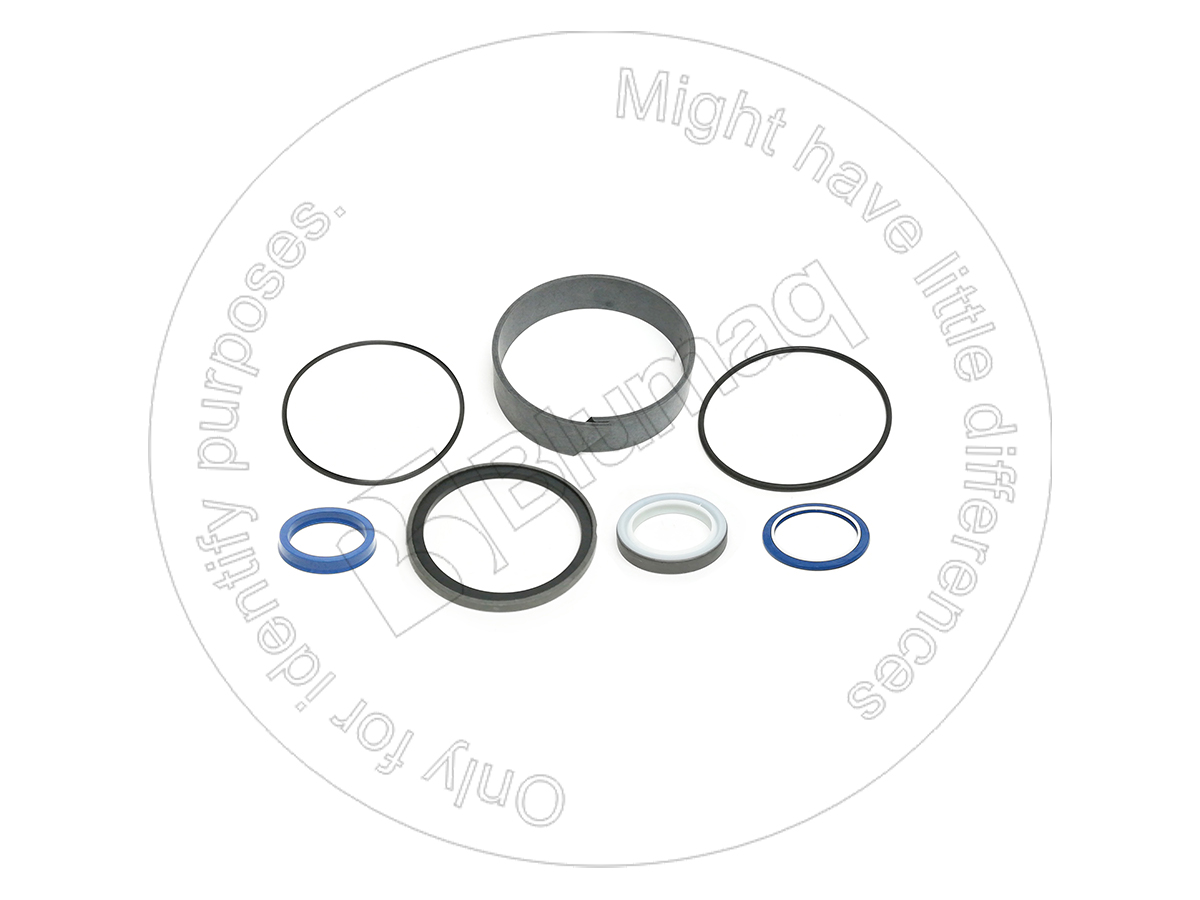 647110 BLUMAQ Hydraulic Seal Kit