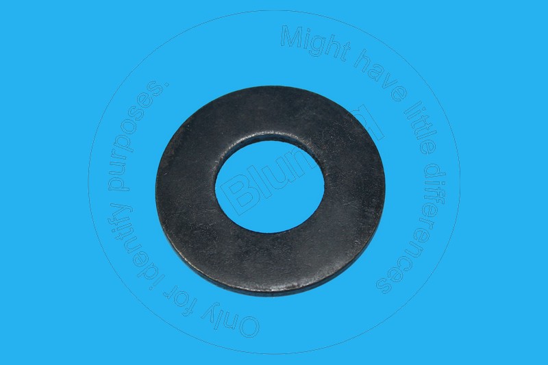 106-1017 Washer for BLUMAQ