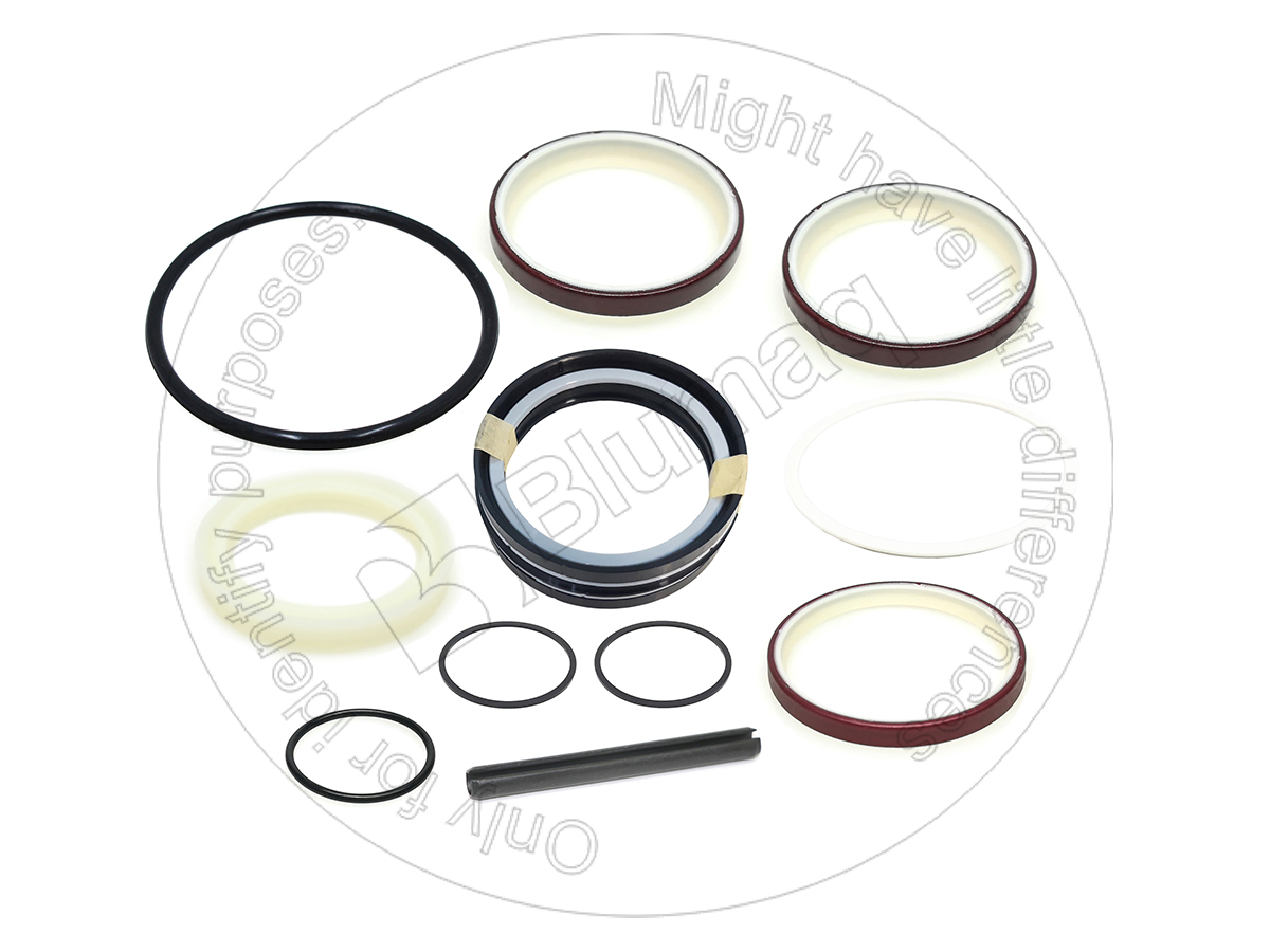 VO11990026 Hydraulic Seal Kit for BLUMAQ