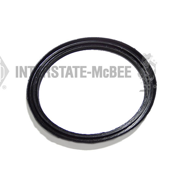 M-3076203 Seal - Dust