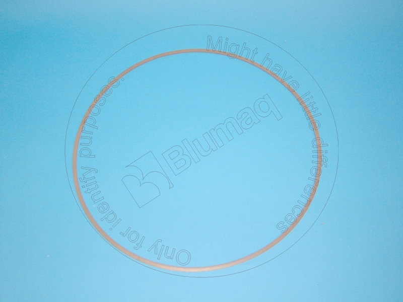 JC550-41230 Ring Snap