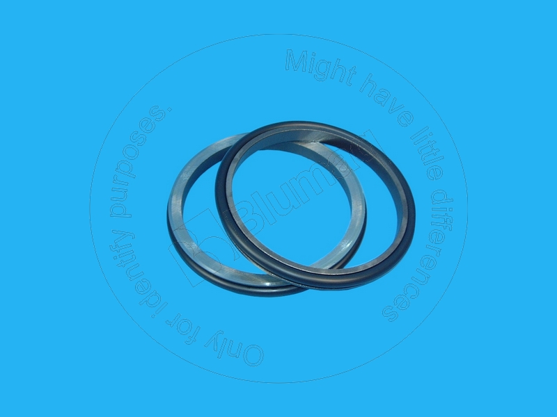 175-27-32711 Seal Gp. Duo-cone for BLUMAQ