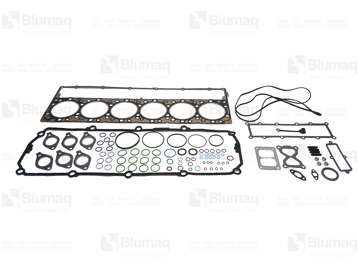 450-0384 Gasket Kit for BLUMAQ